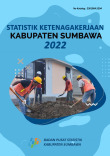 Statistik Ketenagakerjaan Kabupaten Sumbawa 2022